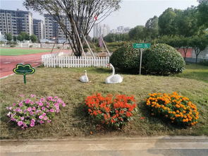 花圃中的风景线