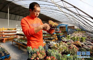 我的窒息操作实录：