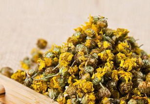 菊花茶哪种菊花好？对比这几种菊花