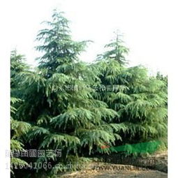 价格对比，哪个梗实惠呢？