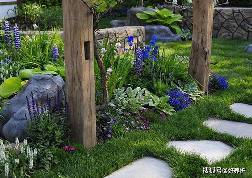 植物在景观设计中的魔力