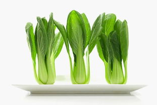 种子的秘密：一颗种子，千变万化