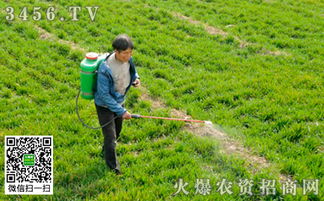 温度与除草效果的关系