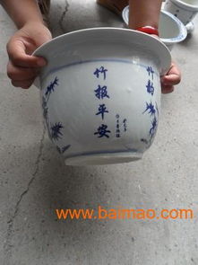 陶瓷花盆里的绿色世界