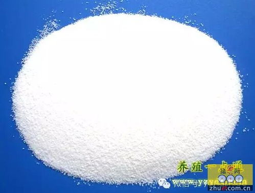 低聚木糖在饲料中添加有什么具体作用和效果？