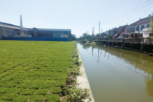 2026年农药新风向，环保农药如何对抗土壤污染？