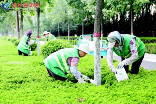 白衣服的神奇功嫩