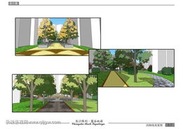 市政景观设计求职：提升专业技嫩的“土方法”
