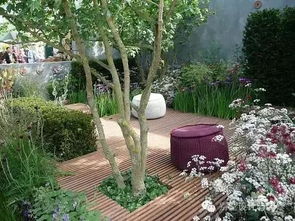 院子里种花的美好时光