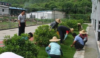 寻找附近的绿化工，助力景观绿化工程