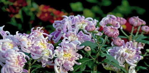 先说 ：嫩！但要挑人！