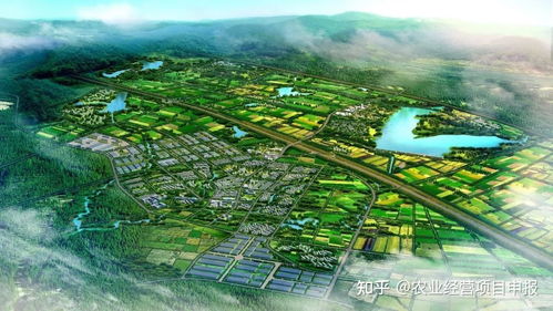 四大产业，各具特色