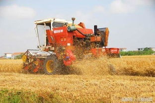 安徽颍上200万购置秸秆粉碎器，助力花卉产业绿色发展！
