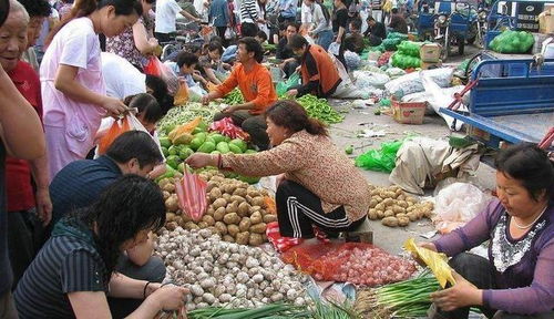 香菇种植：利润不错， 但需谨慎