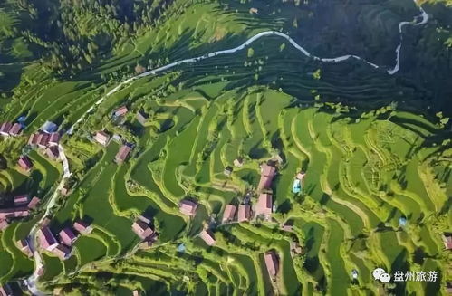 临澧县茶油苗补贴信息：衡阳常宁茶油基地联系方式