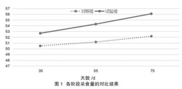 “探究冬季猪舍保温对生长性能影响试验”