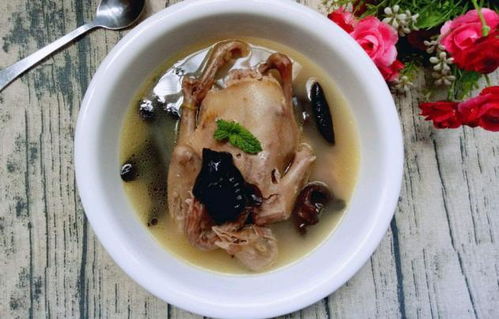 患有感冒、高血压、心脏病、孕妇等人群不宜饮用鸽子汤