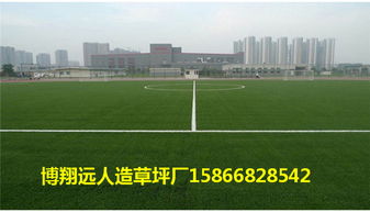 草坪的材质与价格