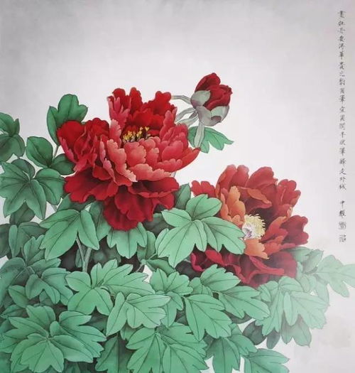 牡丹花高清头像，揭秘国色天香背后的秘密