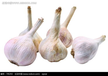 大蒜剥皮切片，蒜头图片怎么呈现