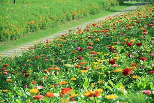 上海辰山植物园的研究数据