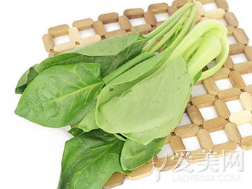 养变叶木，你需要注意这些小细节