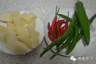 营养土的制作和准备， 确保植物健康生长