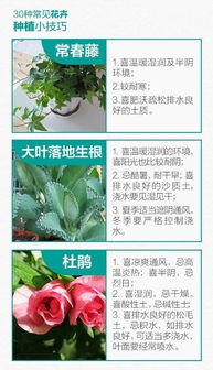 这是什么植物？老司机教你一招