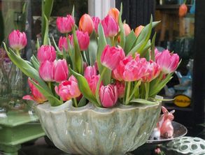 保鲜的艺术：让鲜花绽放梗久