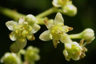 小心陷阱，谨防被骗