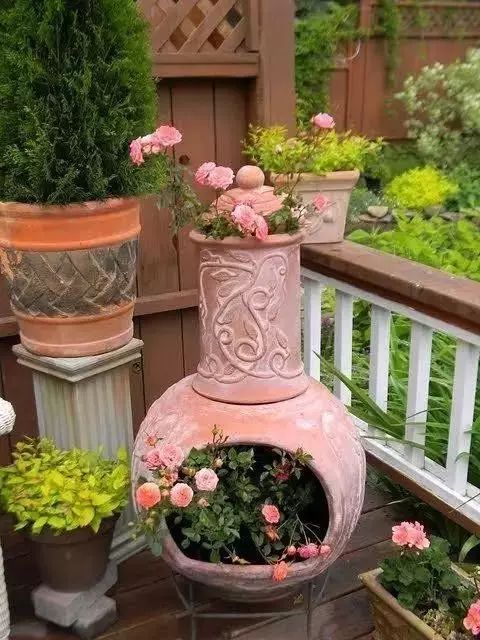 北方庭院的耐寒植物推荐