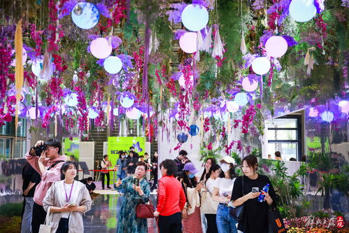 广州国际花卉节2023年：花儿绽放的时刻