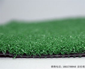 草坪养护费， 真是让人头疼的数字