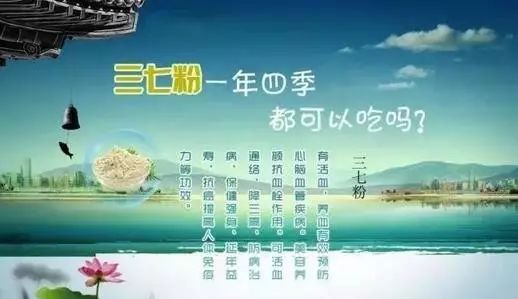 春季：花期的守护者