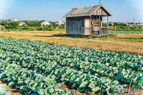 喷药前的注意事项