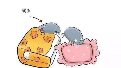 阳光和拍打， 驱螨的小技巧