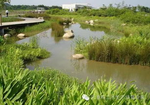 种草技巧， 小秘密大公开