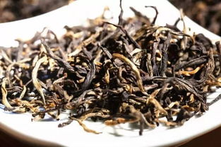 河南茶油批发采购：高效茶叶收购点价格一览