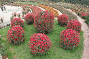 基地介绍， 让你了解一下