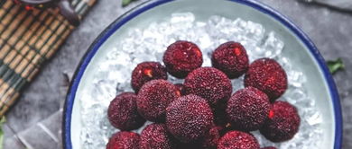 杨梅种子种植，十年真相大揭秘