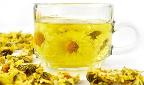 想喝刺梨菊花茶？它的功效与作用及禁忌你了解多少