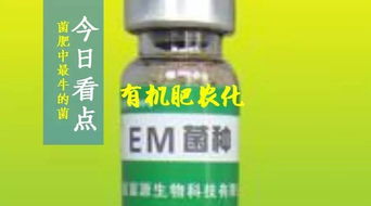 青霉素类杀菌剂