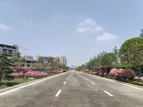 景观小品设置：点缀的风景