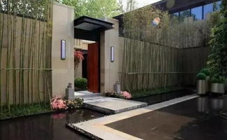 紫背竹竿， 绿意盎然