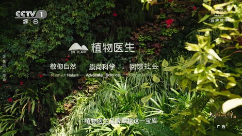 适合高山地区种植的经济植物