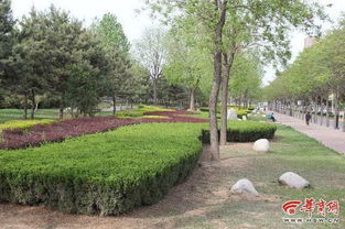 土壤改良，透气为王