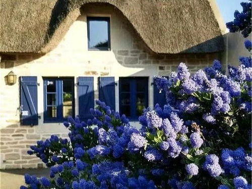 向往的生活，花园之梦