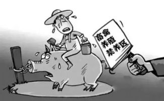 禁养区猪场基本清空，规模养猪场扩张趋势明显