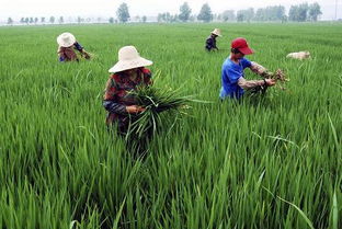 注意事项，不容忽视