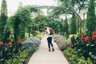 北方花园的秘密武器